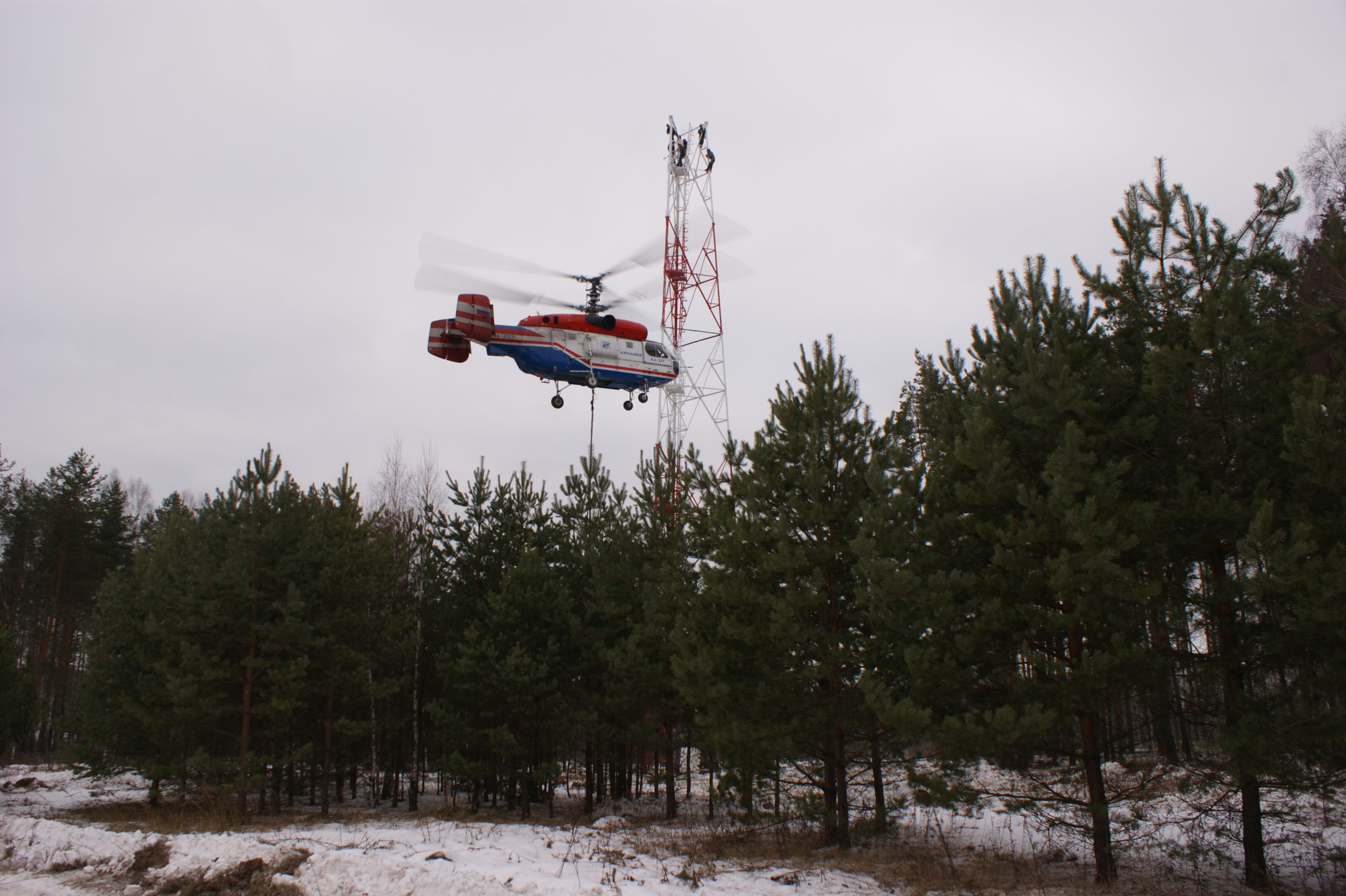 SONY DSC